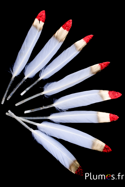 Oie Lame pointe dorée paillettes rouges - 10-15 cm - blanc